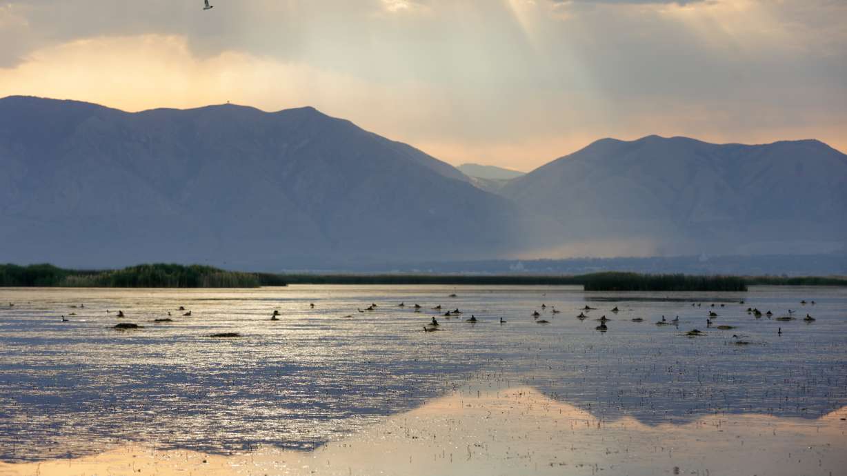 The Great Salt Lake wetlands near Corinne, Box Elder County, on July 13. Congress passed a bill Monday that helps fund studies of saline lakes in Great Basin states, like the Great Salt Lake, over the next five years. It's up to President Joe Biden to sign it. (Ben B. Braun, Deseret News)